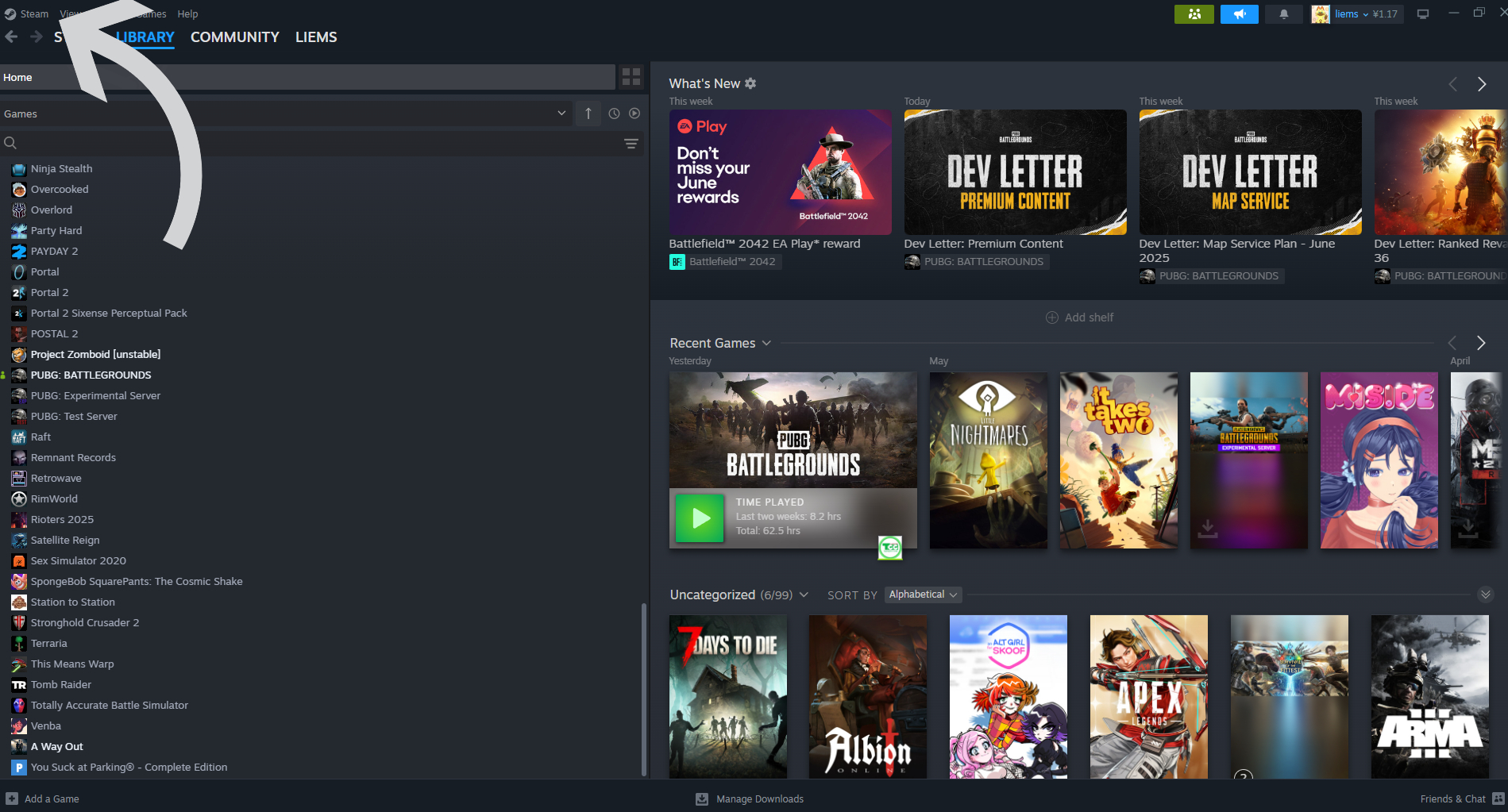 Steam Settings